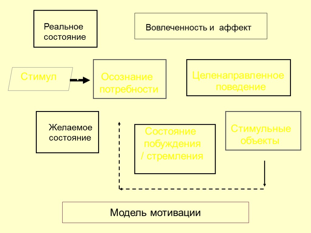 28 Стимул Осознание потребности Состояние побуждения / стремления Целенаправленное поведение Стимульные объекты Вовлеченность и